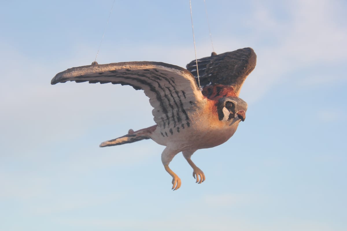 Wetland Bird Sculptures